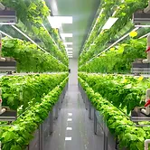 climate controlled farming